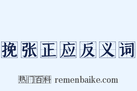 挽张正应反义词是什么意思的图片
